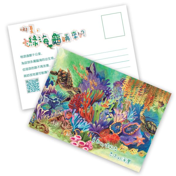 哪夏，綠海龜再來？