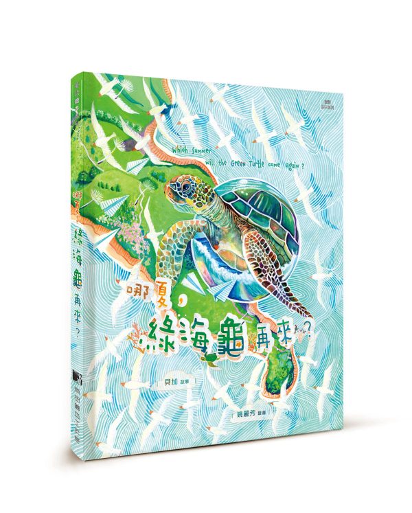 哪夏，綠海龜再來？